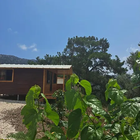 Olimpos Altun Bed and Breakfast