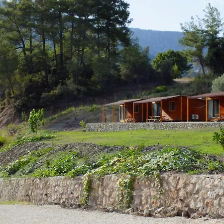 Olimpos Altun Bed and Breakfast