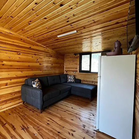 Bed & Breakfast Olimpos Altun *