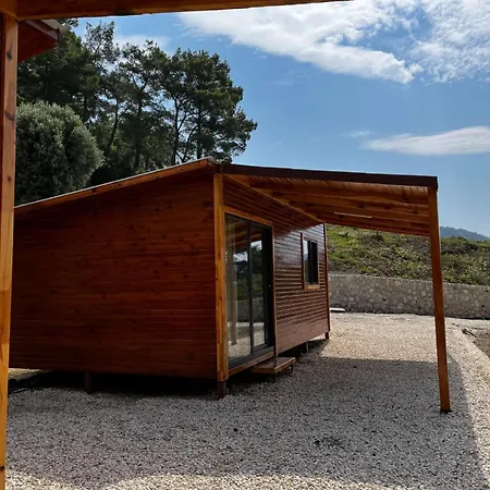 Olimpos Altun * Kumluca