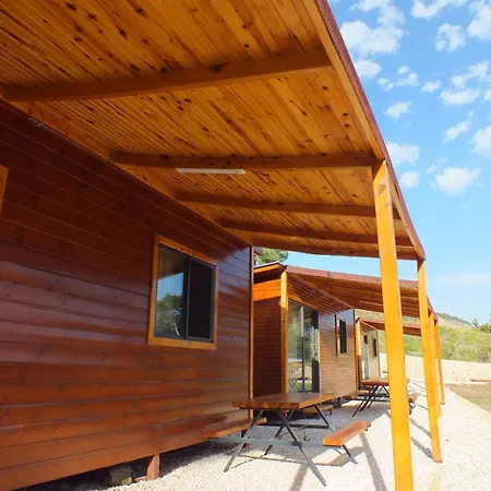 Olimpos Altun Kumluca